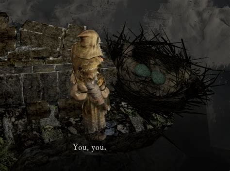 dark souls bird nest|dark souls snuggly list.